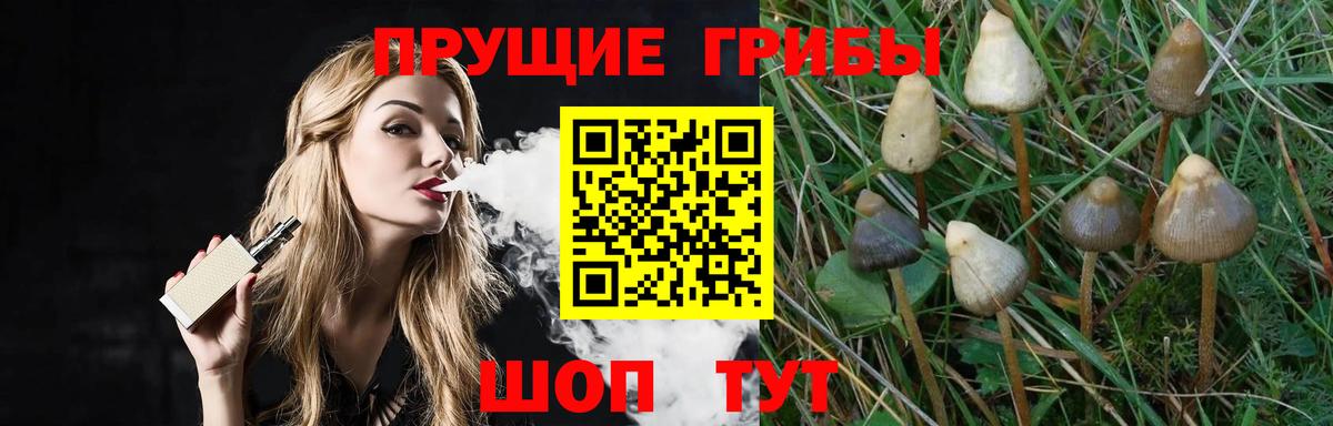 Псилоцибиновые грибы Psilocybe  Вход с VPN  Калач-на-Дону 